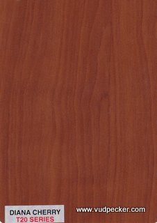 Diana Cherry-T20